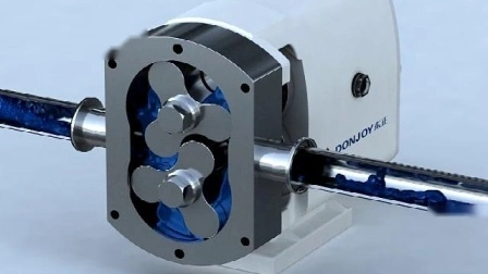 Mini pompe à lobes rotative à engrenages sanitaires, haute viscosité, en acier inoxydable, petit engrenage