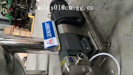 Machine de pompe à Lobe rotative électrique en acier de transfert d'huile d'olive de qualité alimentaire à engrenages mobiles industriels